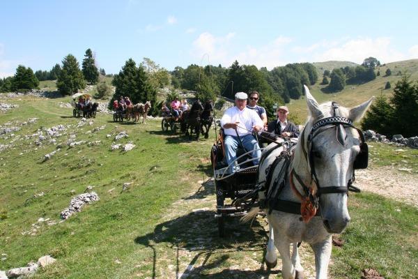 Campeggio Branchetto Ξενοδοχείο Bosco Chiesanuova Εξωτερικό φωτογραφία