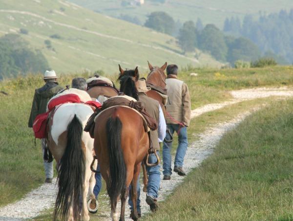Campeggio Branchetto Ξενοδοχείο Bosco Chiesanuova Εξωτερικό φωτογραφία