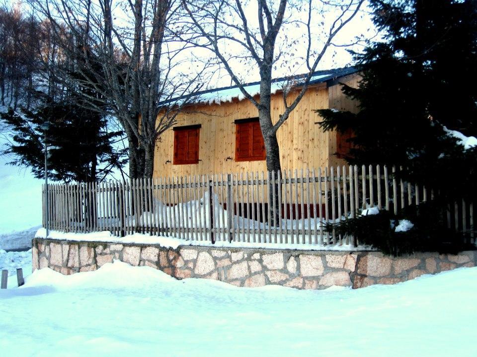 Campeggio Branchetto Ξενοδοχείο Bosco Chiesanuova Εξωτερικό φωτογραφία